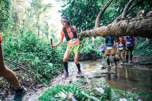 BIB: 
                            <button type="button" onclick="openModal(25464664)" class="btn btn-primary btn-sm float-right btn-popup" data-toggle="modal" data-target=".modal-high-quality">
                        <i class="fas fa-shopping-cart"></i> Add to Cart
                    </button>
                                            <button type="button" onclick="isThisMe(25464664, true)" class="btn btn-success btn-sm float-right btn-popup btn-isme hidden" data-toggle="tooltip" data-placement="bottom" title="นี่คือรูปของคุณใช่ไหม คลิกที่นี่เพื่อเอาเข้าอัลบั้ม">
                        <i class="fas fa-plus"></i> Add to album
                    </button>
                    <button type="button" onclick="isThisMe(25464664, false)" class="btn btn-warning btn-sm float-right btn-popup btn-isnotme hidden">
                        <i class="fas fa-ban"></i> Remove from album
                    </button>